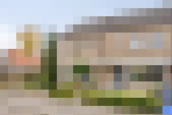 Braamkamp 19 Heerde thumbnail 31