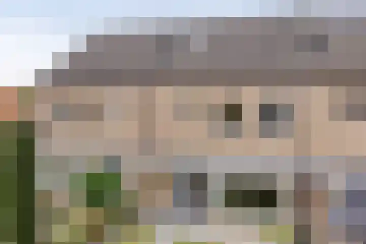 Braamkamp 19 Heerde thumbnail 33