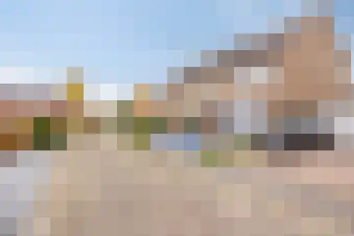 Braamkamp 19 Heerde thumbnail 34