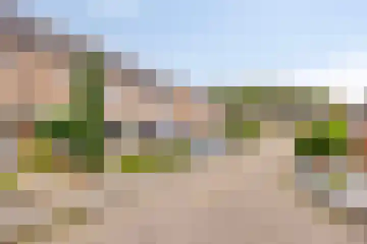 Braamkamp 19 Heerde thumbnail 35