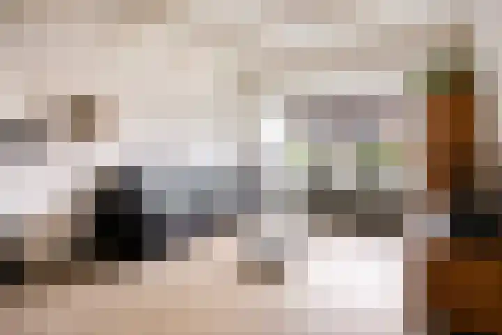 Braamkamp 19 Heerde thumbnail 4