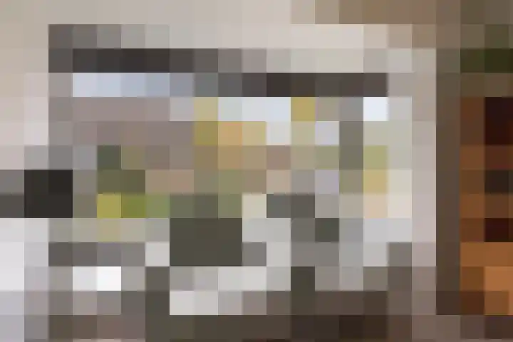 Braamkamp 19 Heerde thumbnail 6