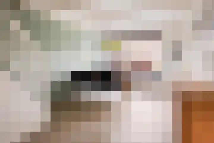 Braamkamp 19 Heerde thumbnail 7
