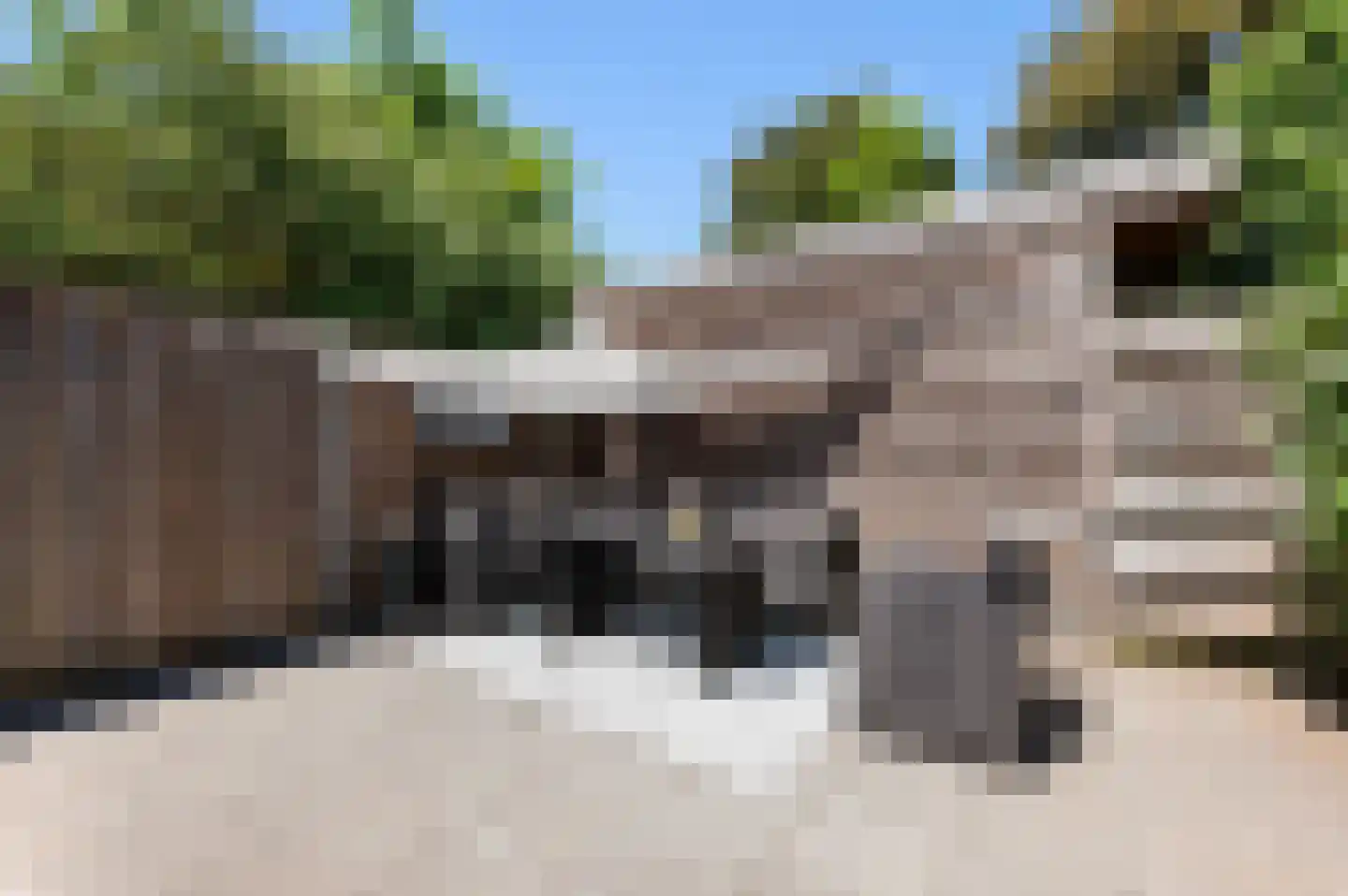 Braamkamp 197 Zutphen thumbnail 23