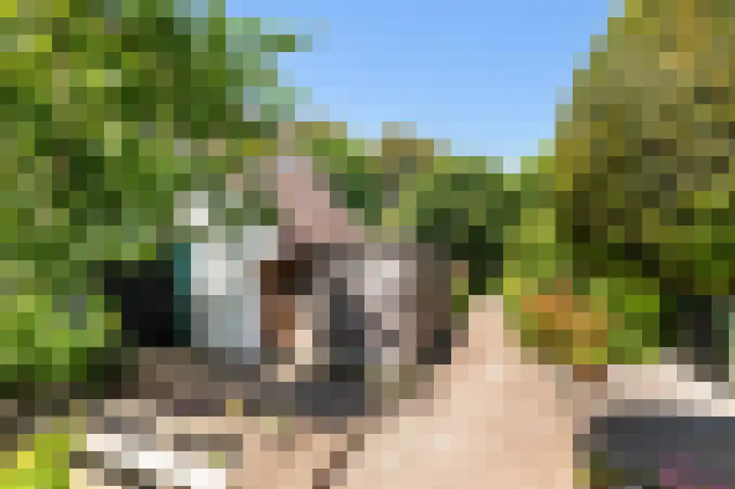 Braamkamp 197 Zutphen thumbnail 24