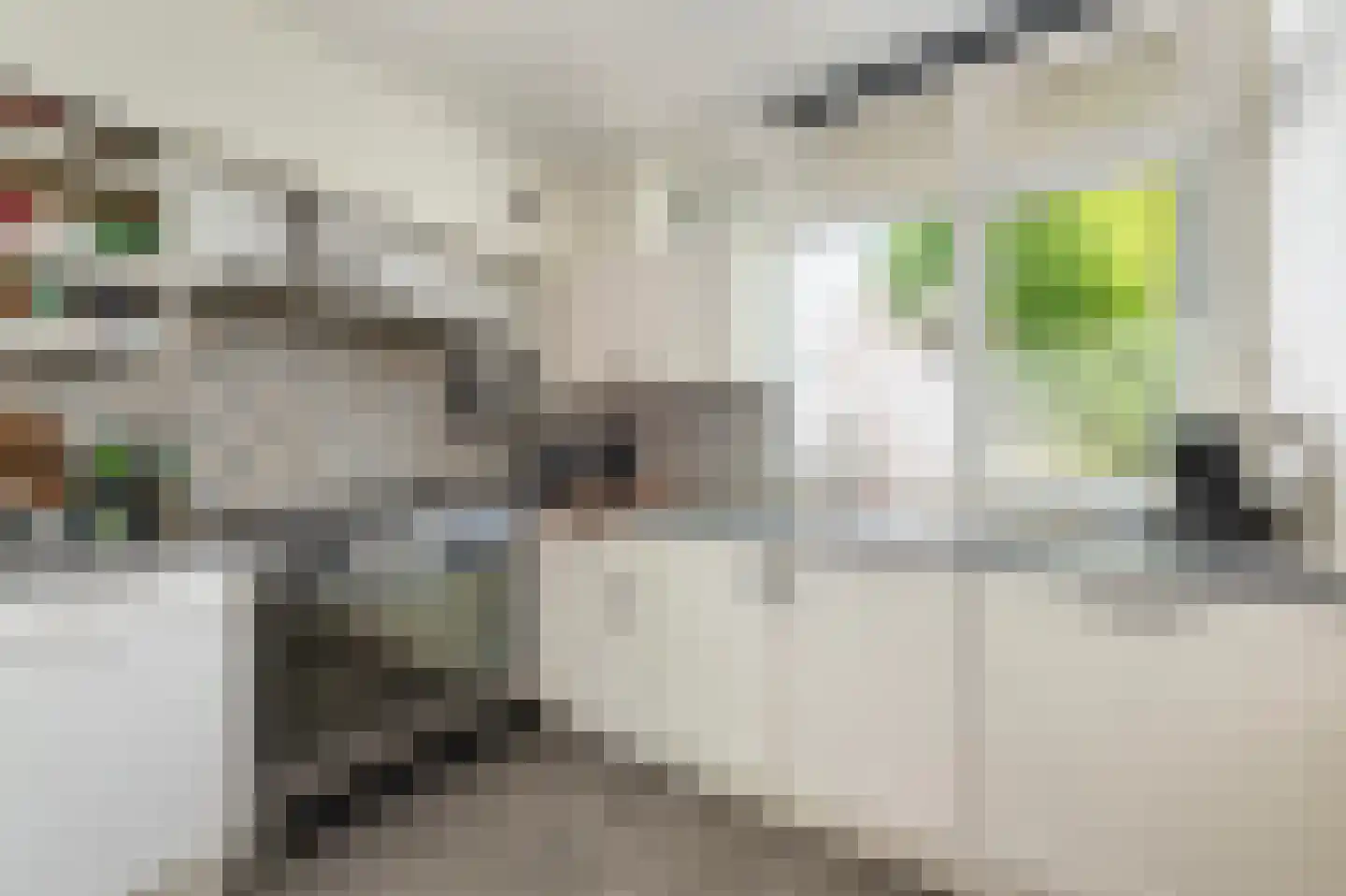 Braamkamp 197 Zutphen thumbnail 7