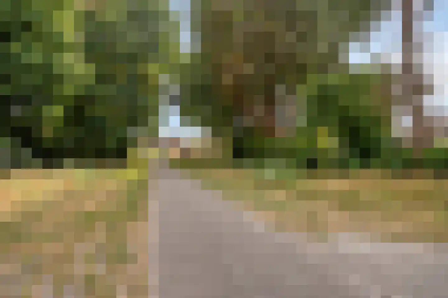Braamkamp 20 Heerde thumbnail 25