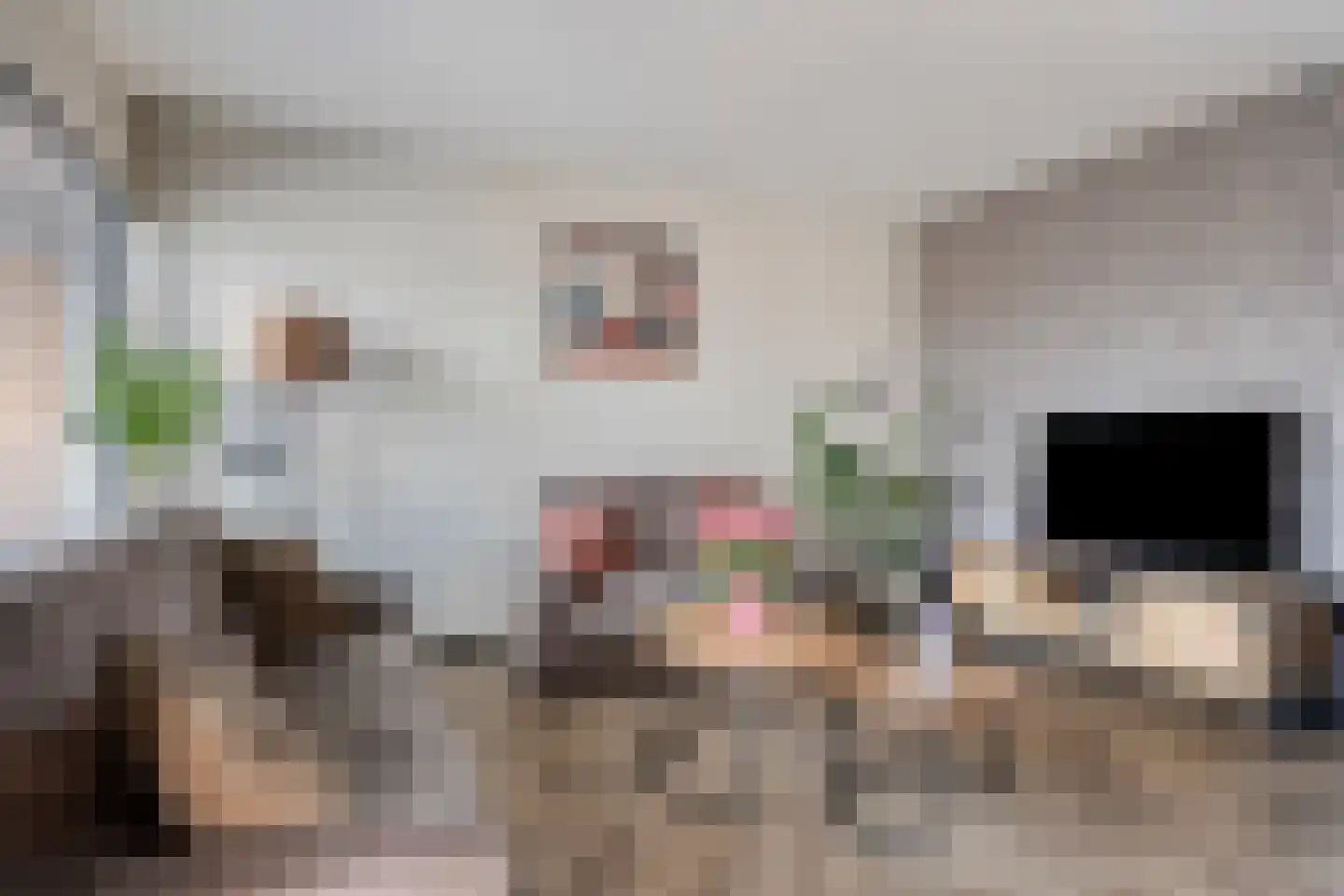 Braamkamp 20 Heerde thumbnail 5