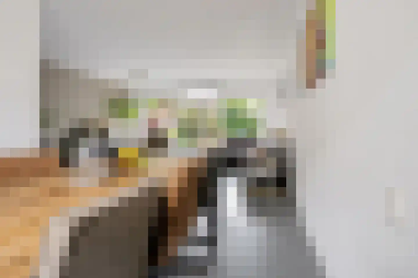 Braamkamp 230 Zutphen thumbnail 11