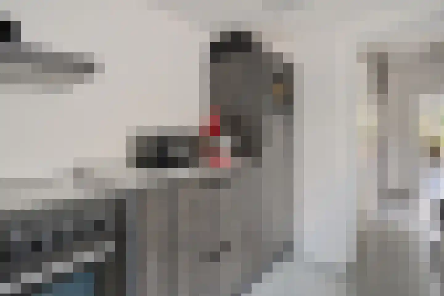 Braamkamp 230 Zutphen thumbnail 13