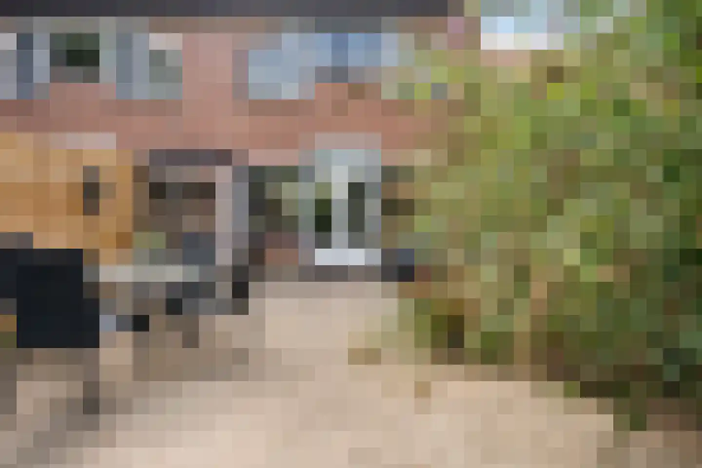 Braamkamp 230 Zutphen thumbnail 35