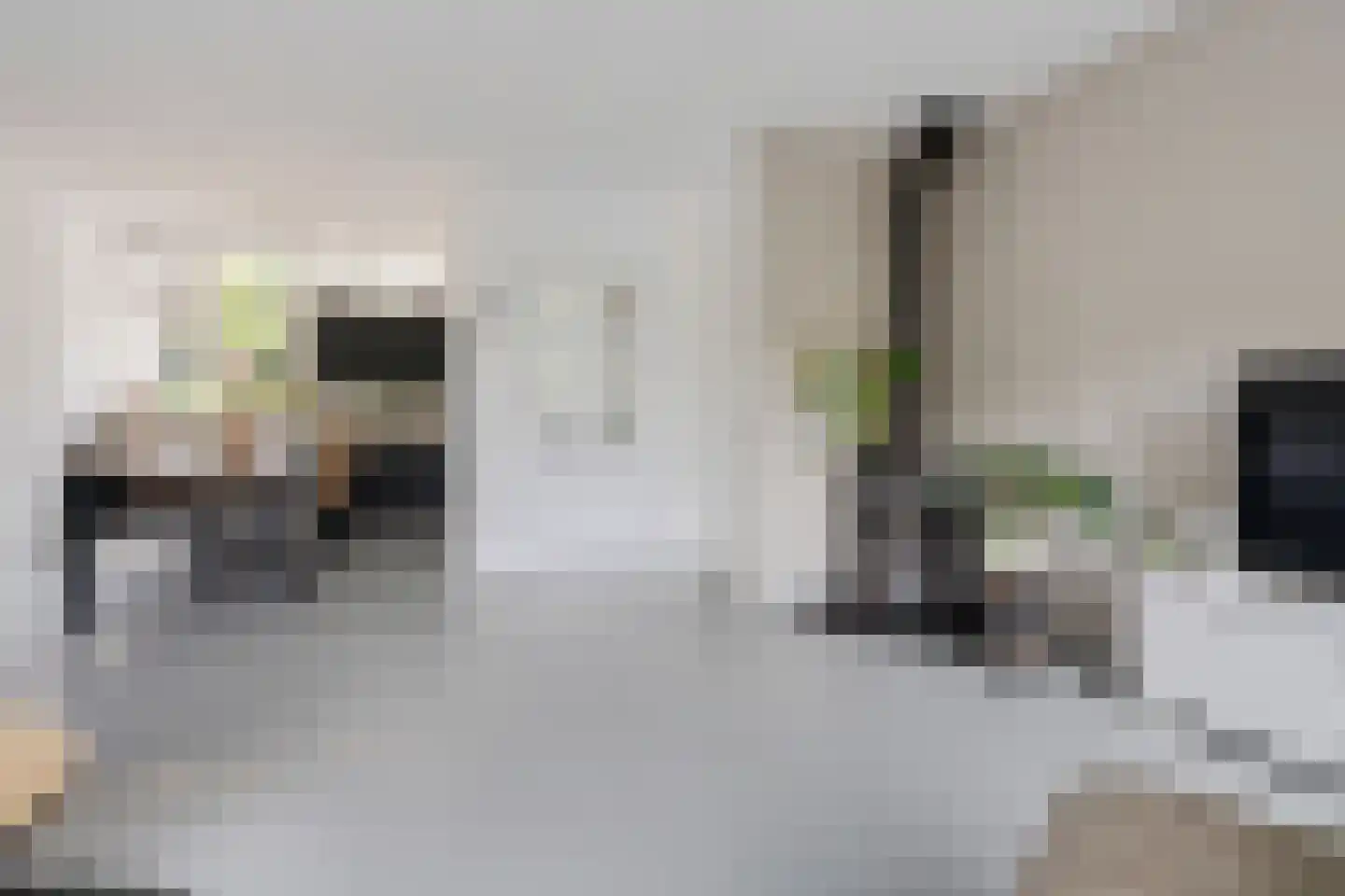 Braamkamp 230 Zutphen thumbnail 6