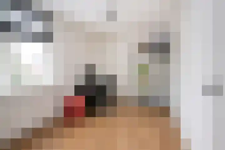 Braamkamp 243 Zutphen thumbnail 16