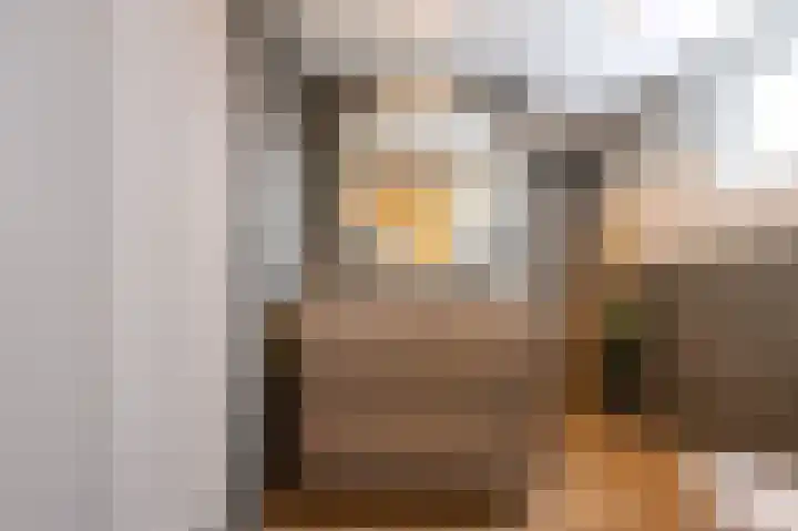 Braamkamp 243 Zutphen thumbnail 17