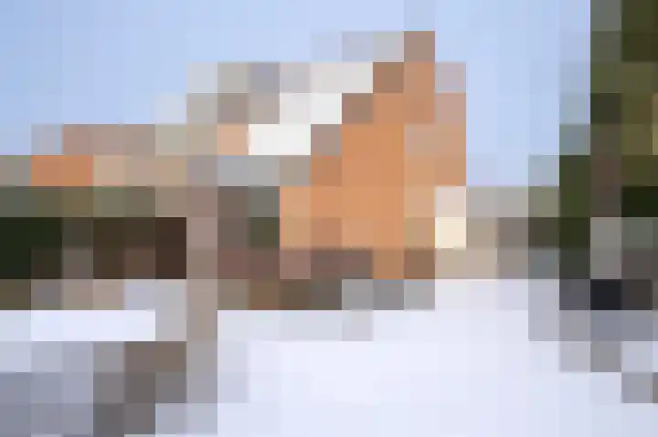 Braamkamp 243 Zutphen thumbnail 24