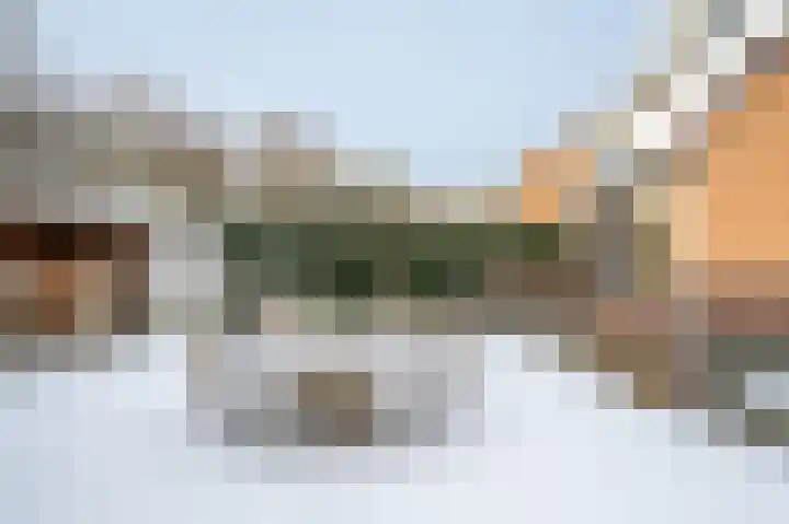 Braamkamp 243 Zutphen thumbnail 25