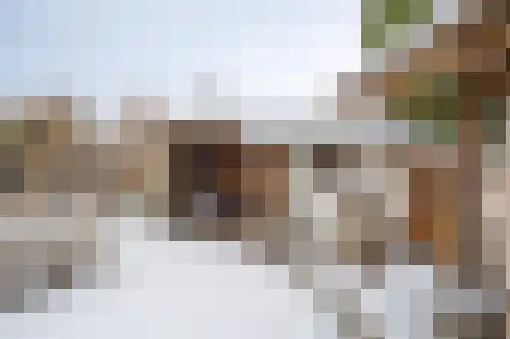 Braamkamp 243 Zutphen thumbnail 28