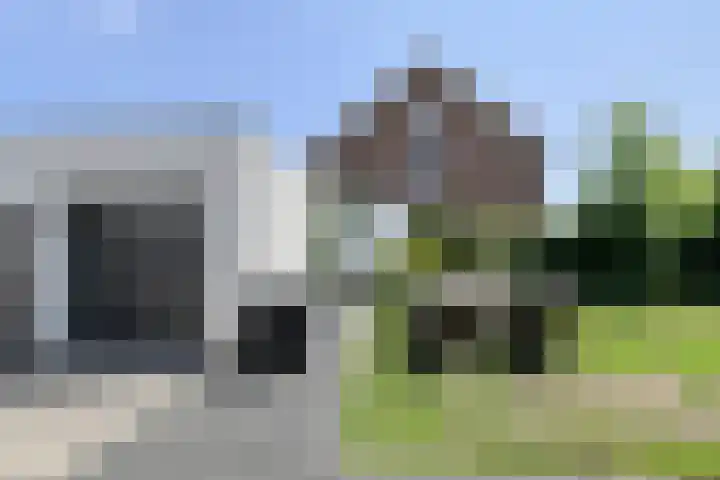 Braamkamp 243 Zutphen thumbnail 41
