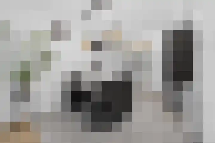 Braamkamp 243 Zutphen thumbnail 5