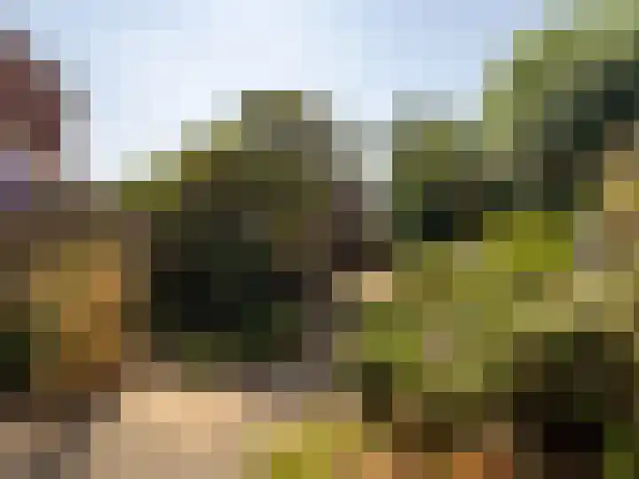 Braamkamp 27 Zutphen thumbnail 20