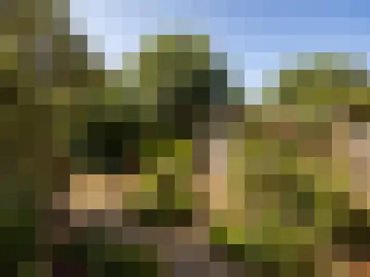 Braamkamp 27 Zutphen thumbnail 21
