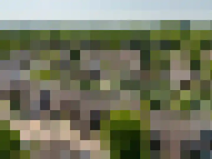 Braamkamp 27 Zutphen thumbnail 25