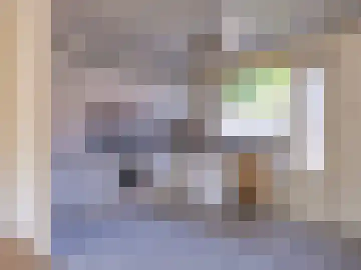 Braamkamp 27 Zutphen thumbnail 6