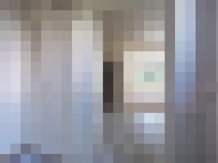 Braamkamp 27 Zutphen thumbnail 8