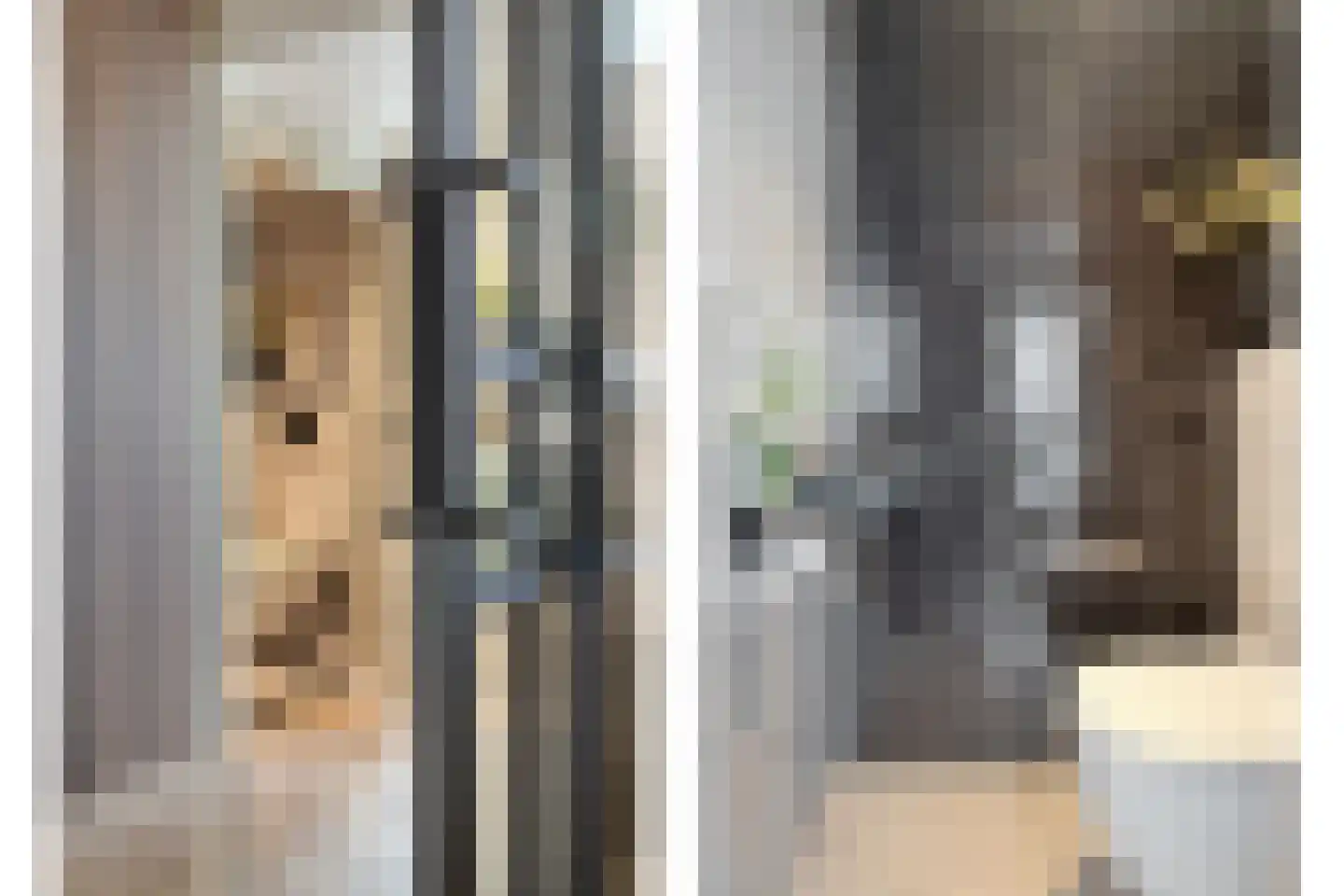 Braamkamp 300 Zutphen thumbnail 10