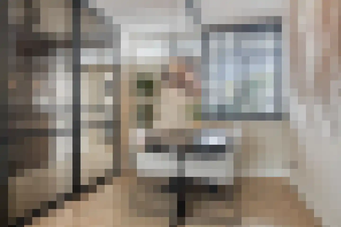 Braamkamp 300 Zutphen thumbnail 14