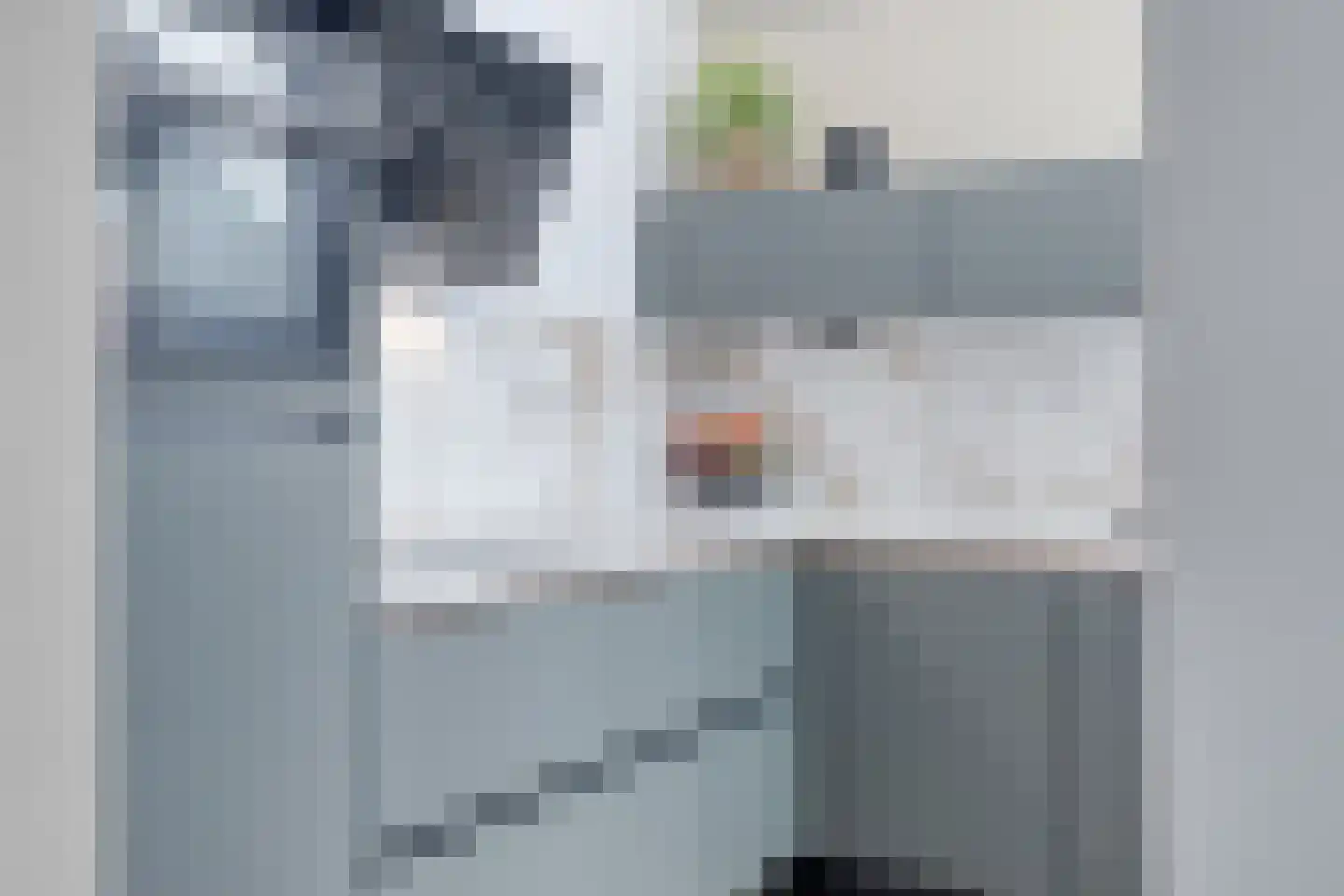 Braamkamp 300 Zutphen thumbnail 15