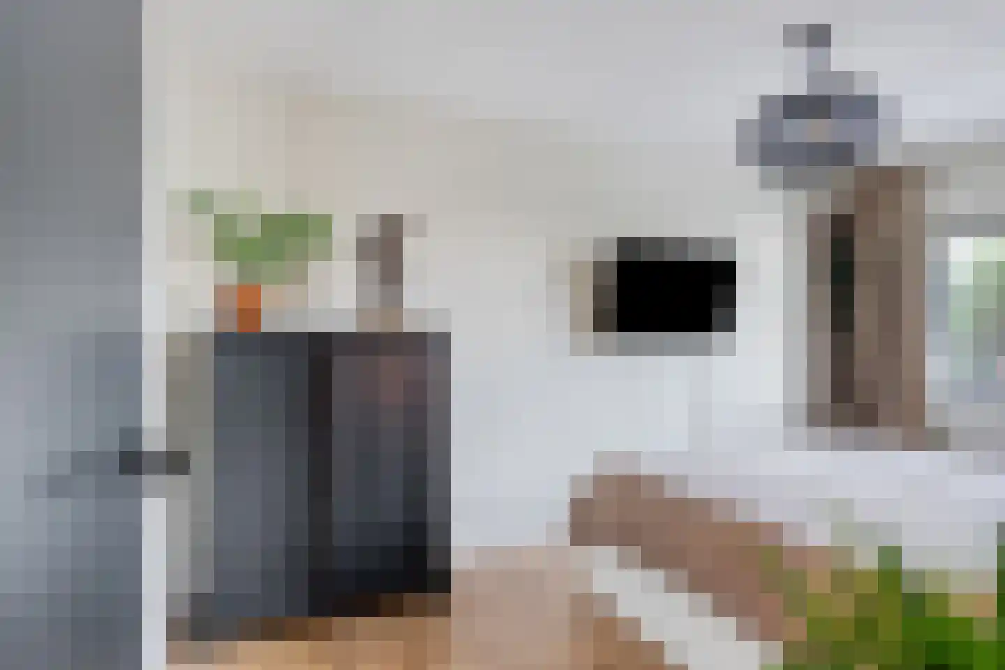 Braamkamp 300 Zutphen thumbnail 18