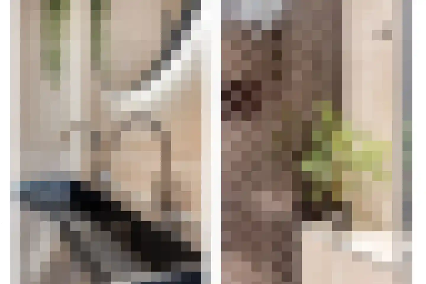Braamkamp 300 Zutphen thumbnail 20