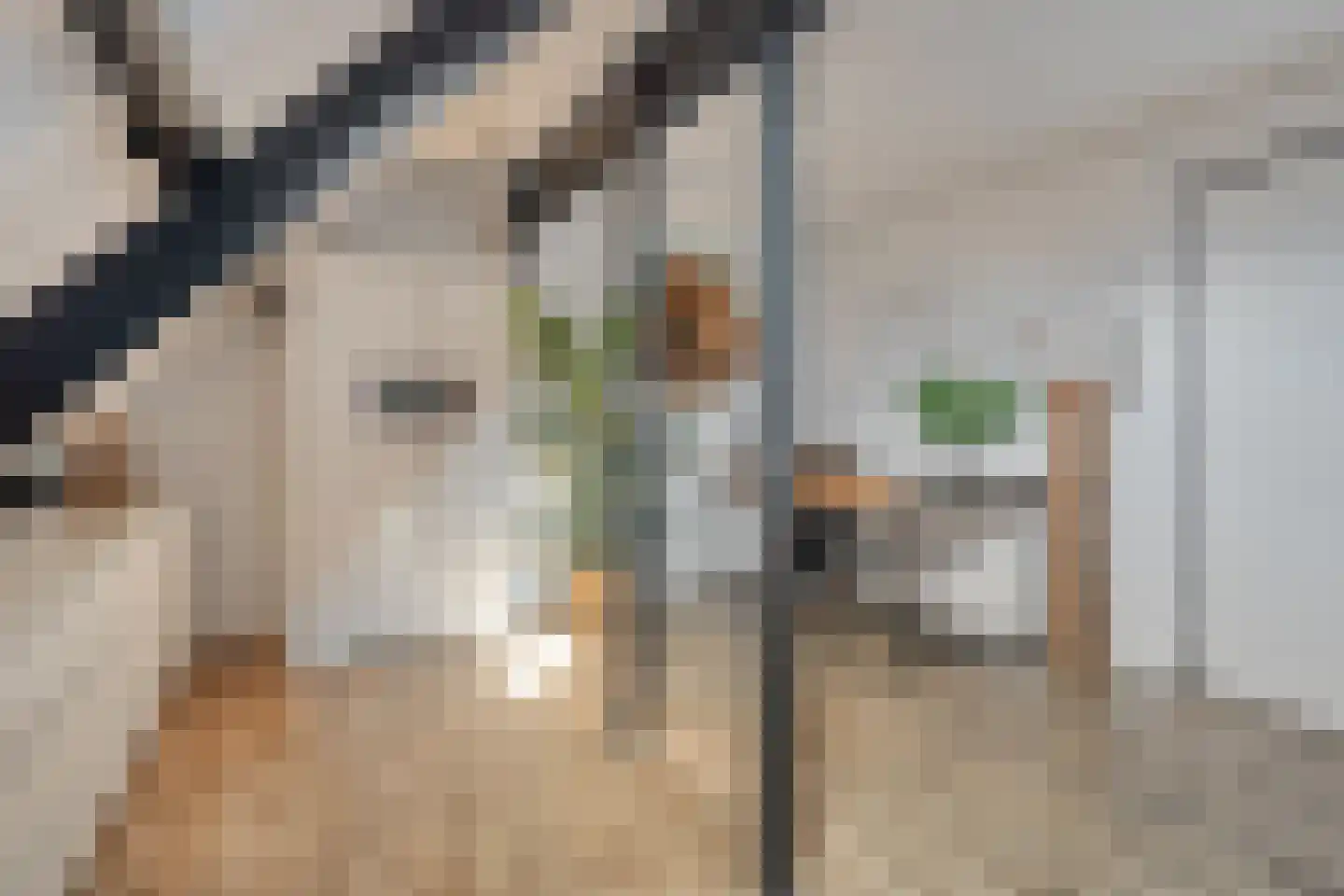 Braamkamp 300 Zutphen thumbnail 25