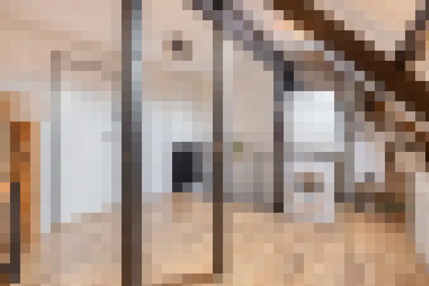 Braamkamp 300 Zutphen thumbnail 26
