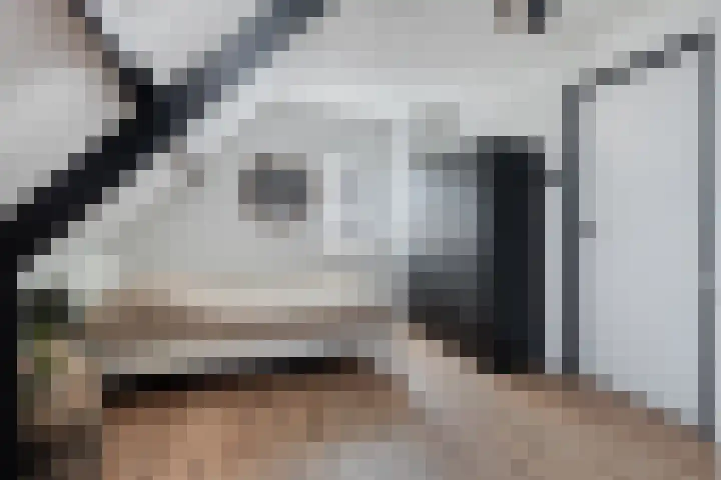 Braamkamp 300 Zutphen thumbnail 27
