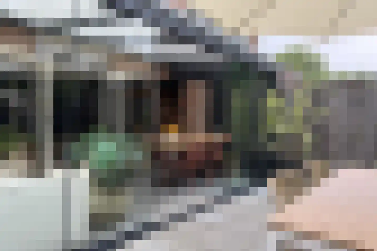 Braamkamp 300 Zutphen thumbnail 31