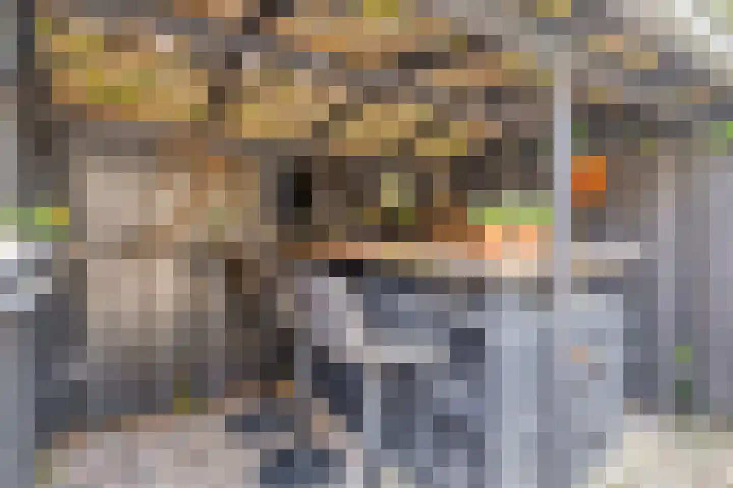 Braamkamp 300 Zutphen thumbnail 32