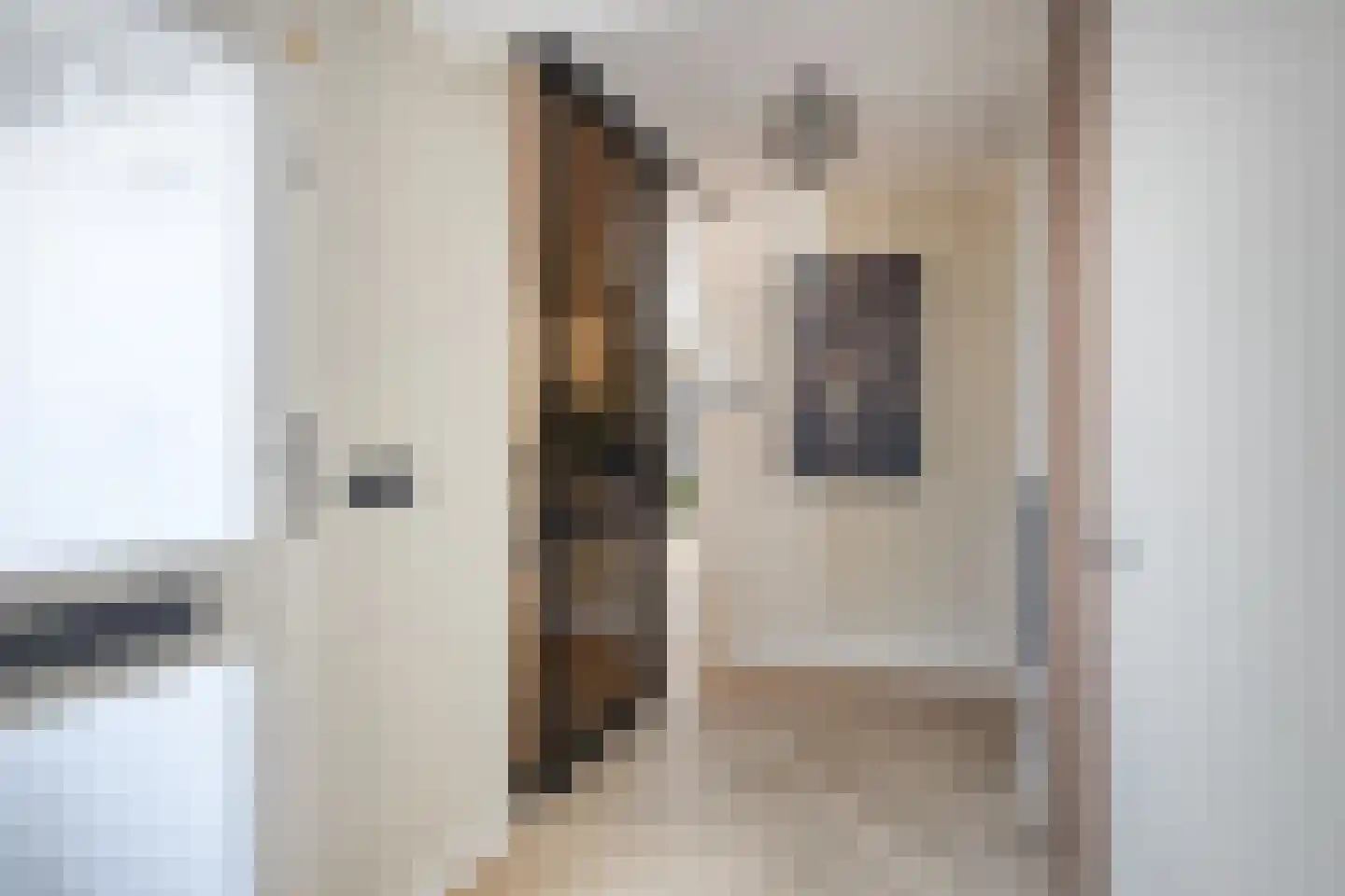 Braamkamp 300 Zutphen thumbnail 8