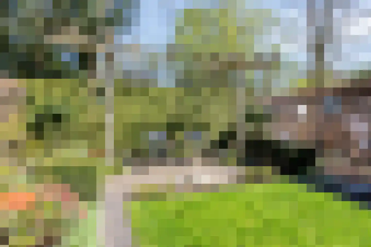 Braamkamp 303 Zutphen thumbnail 12