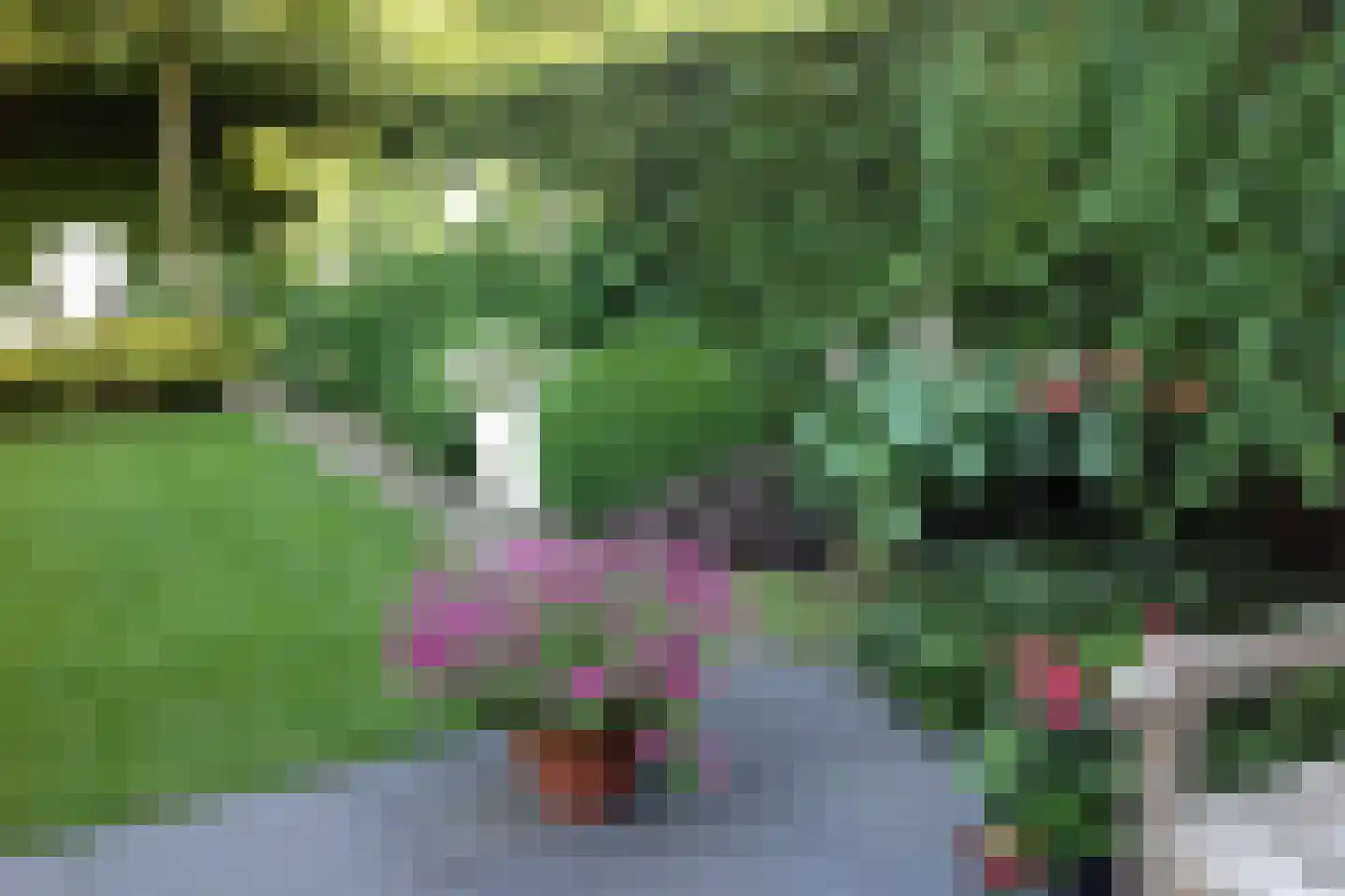 Braamkamp 303 Zutphen thumbnail 13