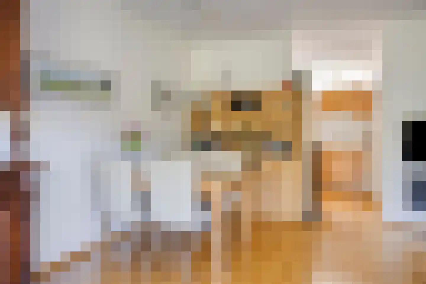 Braamkamp 303 Zutphen thumbnail 17
