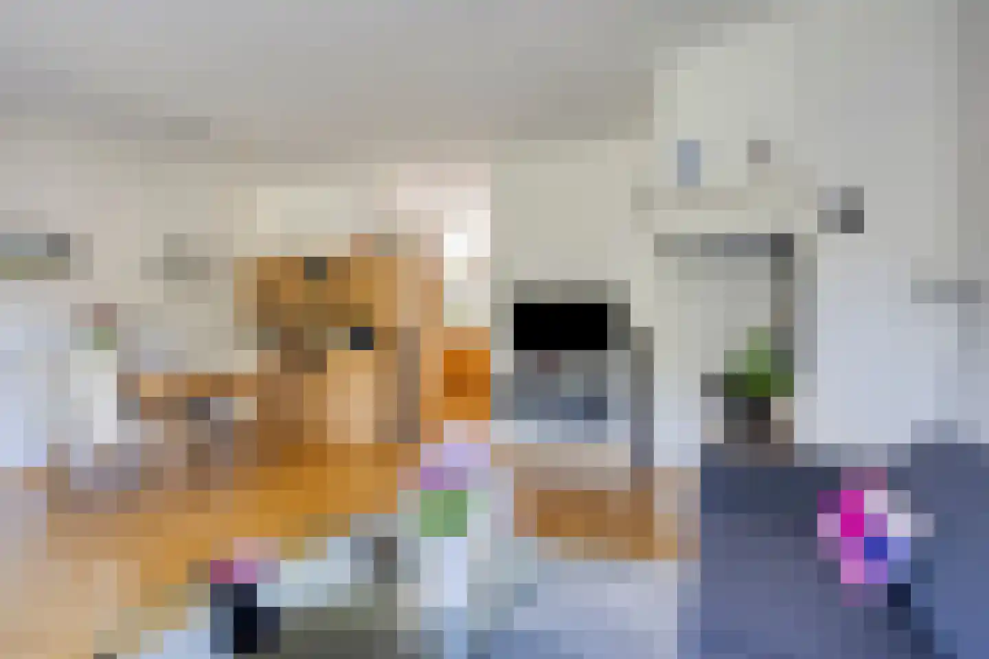 Braamkamp 303 Zutphen thumbnail 9
