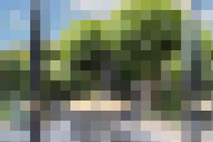 Braamkamp 309 Zutphen thumbnail 23