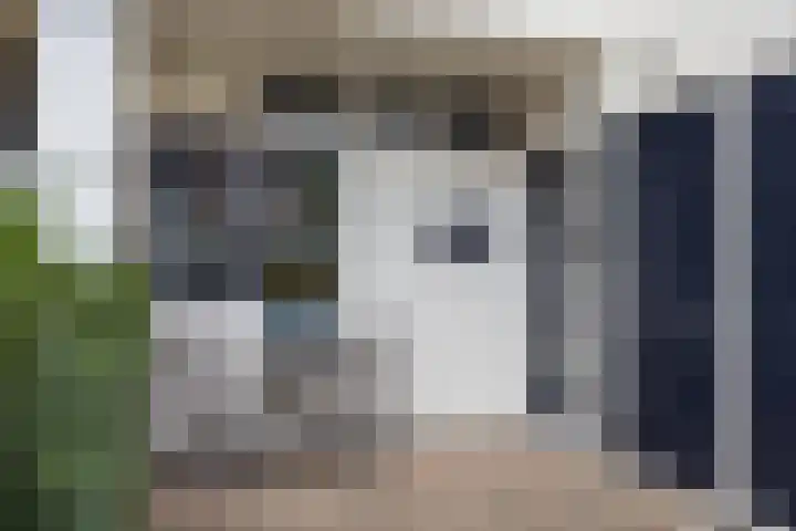 Braamkamp 309 Zutphen thumbnail 4