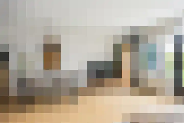 Braamkamp 309 Zutphen thumbnail 8