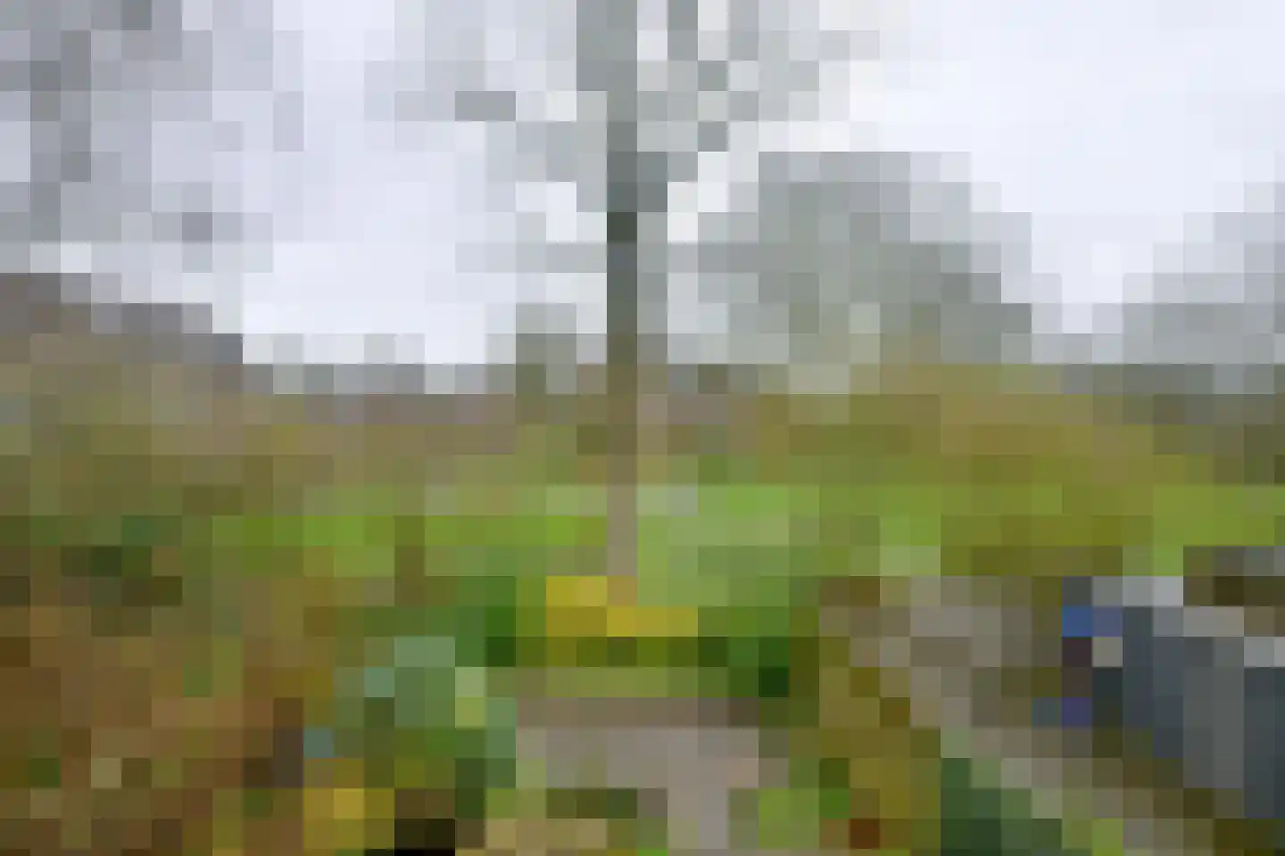 Braamkamp 325 Zutphen thumbnail 38