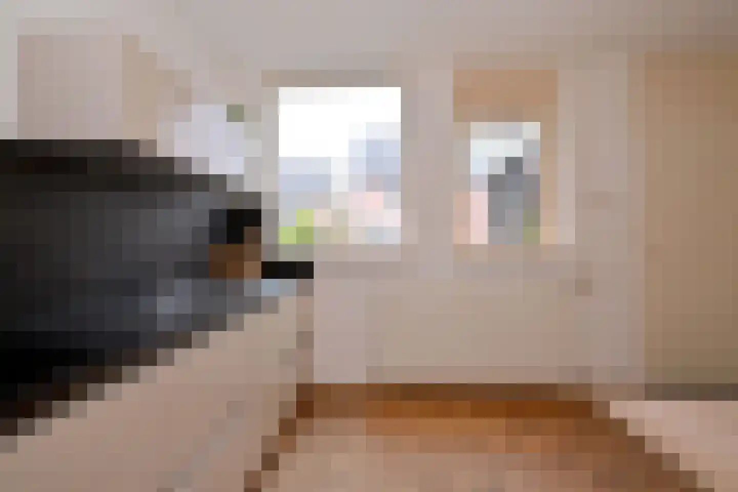 Braamkamp 325 Zutphen thumbnail 5
