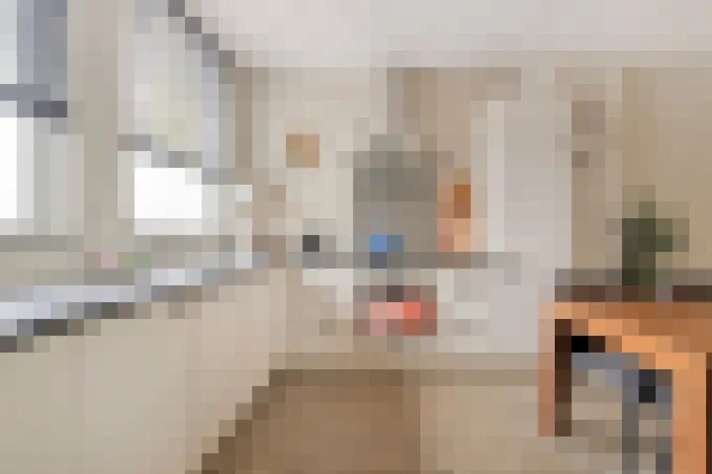 Braamkamp 326 Zutphen thumbnail 11