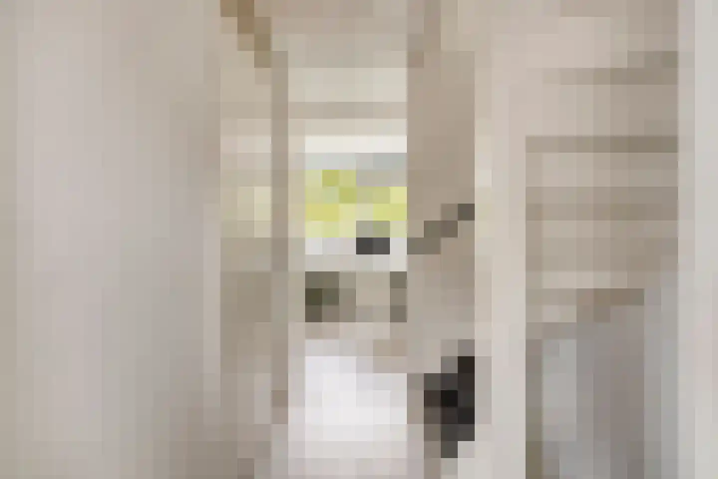 Braamkamp 326 Zutphen thumbnail 17
